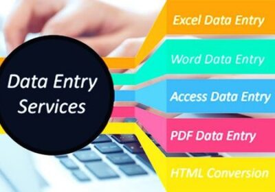 data-entry-services-in-delhi-500×500-1