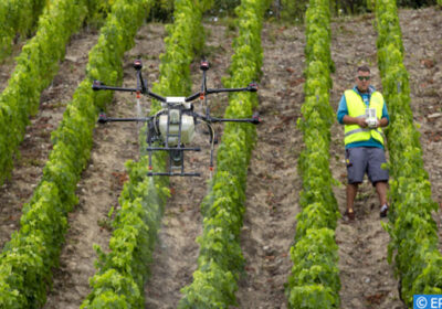 agritech.eco_